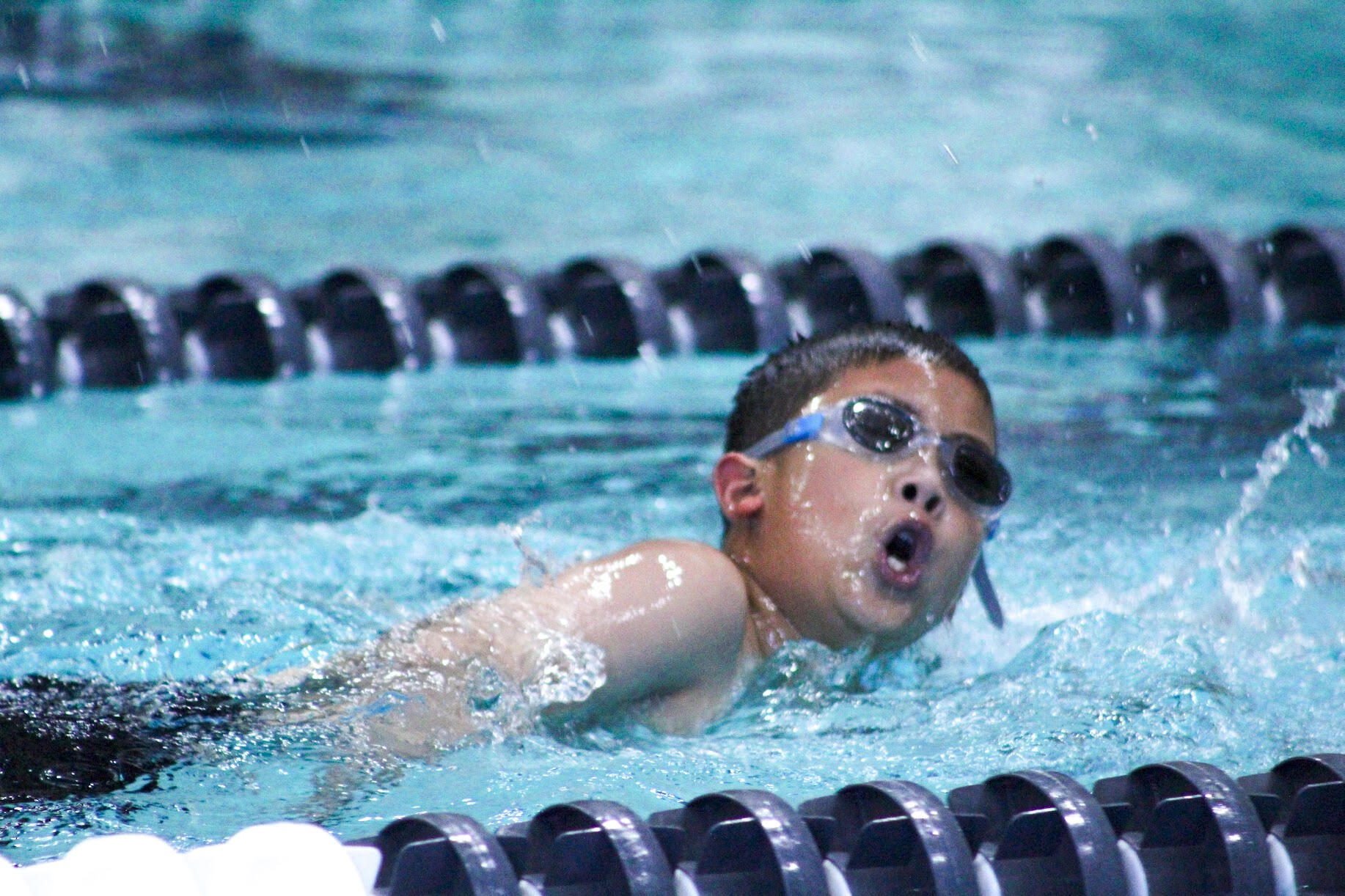 Swimming at Oyster River Otters